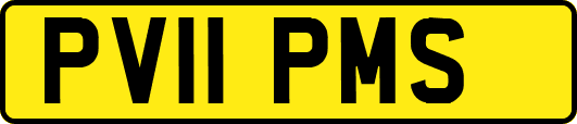 PV11PMS