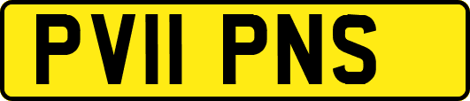 PV11PNS