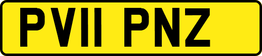 PV11PNZ