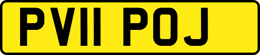 PV11POJ