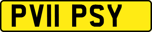 PV11PSY