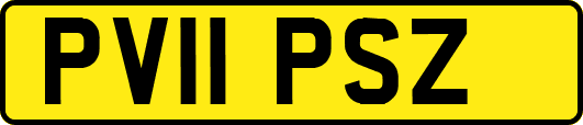 PV11PSZ