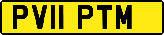 PV11PTM
