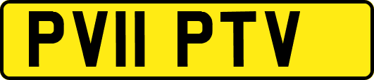 PV11PTV
