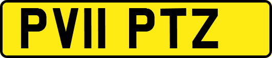 PV11PTZ