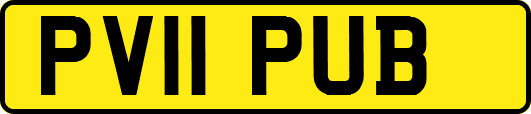 PV11PUB