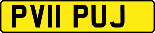 PV11PUJ