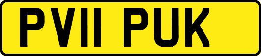 PV11PUK