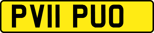 PV11PUO