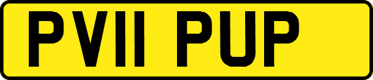 PV11PUP