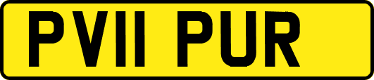 PV11PUR