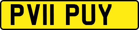 PV11PUY
