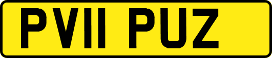 PV11PUZ