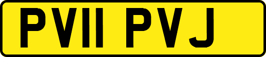 PV11PVJ