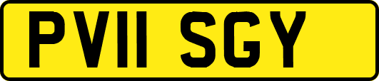 PV11SGY