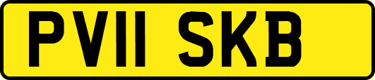PV11SKB