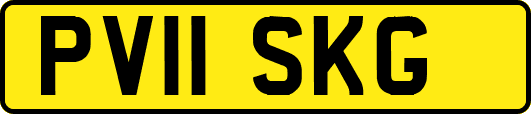 PV11SKG