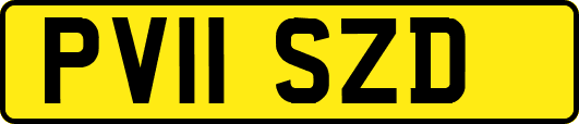 PV11SZD
