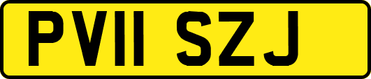 PV11SZJ