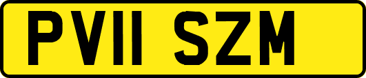 PV11SZM