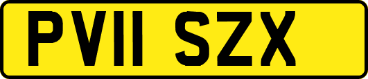 PV11SZX