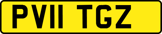 PV11TGZ