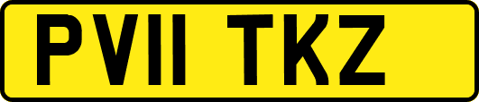 PV11TKZ