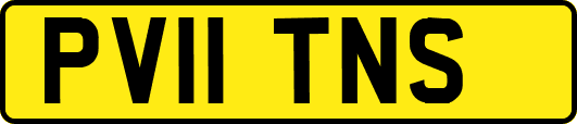 PV11TNS