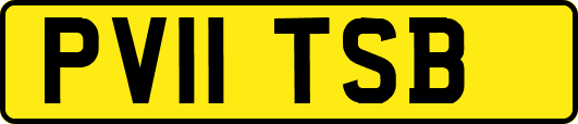 PV11TSB