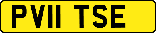 PV11TSE