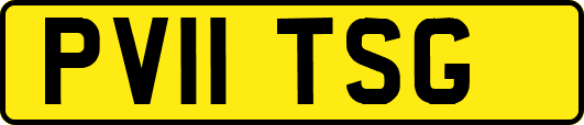 PV11TSG