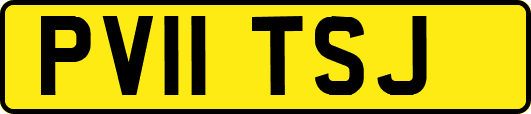 PV11TSJ