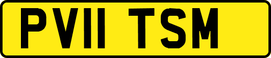 PV11TSM
