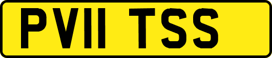 PV11TSS