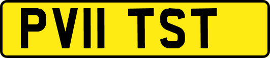 PV11TST