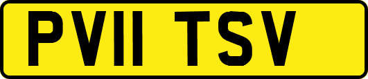 PV11TSV