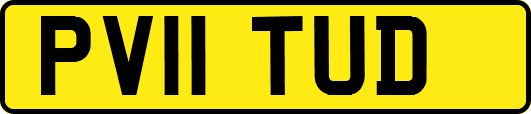 PV11TUD