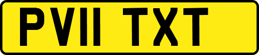 PV11TXT