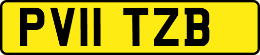 PV11TZB