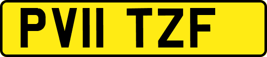 PV11TZF