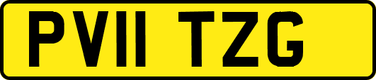 PV11TZG