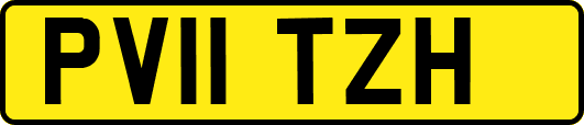 PV11TZH