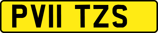 PV11TZS
