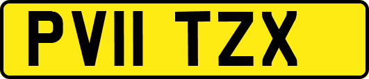 PV11TZX