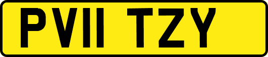 PV11TZY