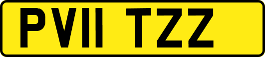 PV11TZZ