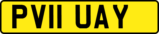 PV11UAY