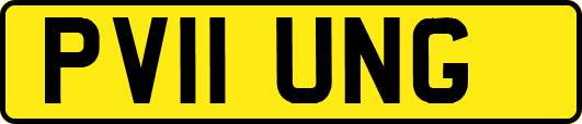 PV11UNG