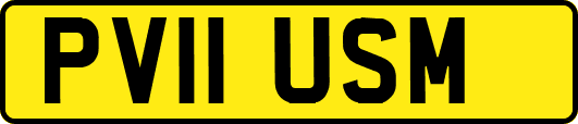 PV11USM