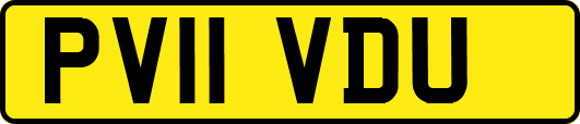 PV11VDU